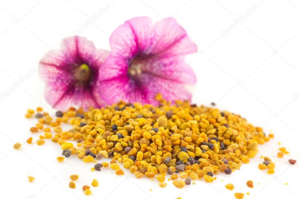 Honey pollen Grains and flower on white background 