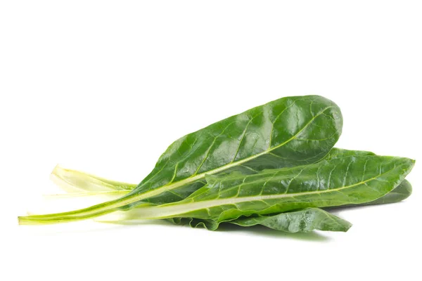 Chard Big Leaf Green Raw Isolated White Background — Stock Photo, Image