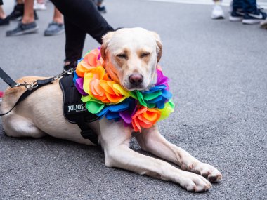 Pride Cenova 15 Haziran 2019 