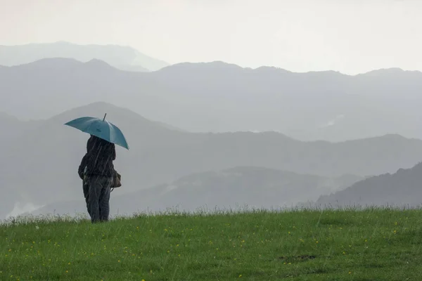 Two people with umbrellas in the rain in a green meadow