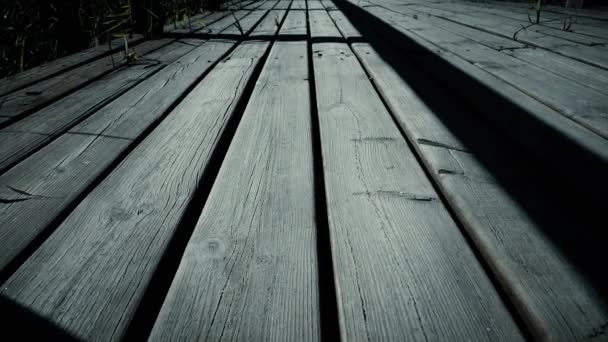 Деревянный Мост — стоковое видео