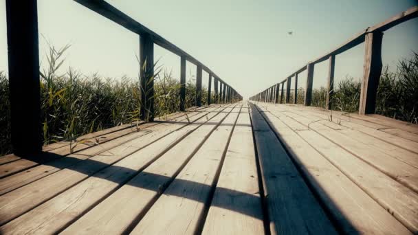 Ponte Madeira Para Rio — Vídeo de Stock