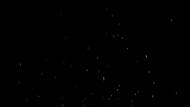 雨のスプラッシュが黒い背景を落とし — ストック動画