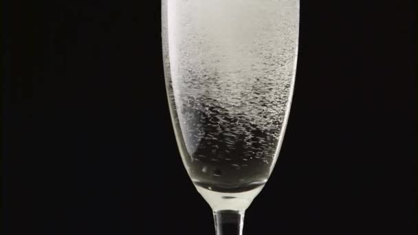 Champagne Foam Glass Black Background — Stock Video