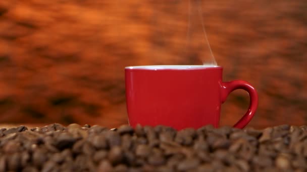 Stojąc Ziarnach Kawy Zapachu — Wideo stockowe
