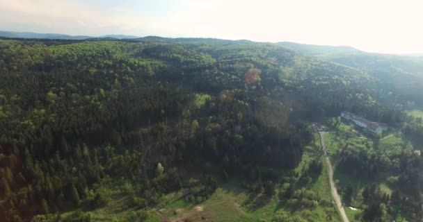 Vue Aérienne Vue Panoramique Route Forestière — Video