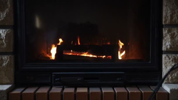 Burning Fireplace Home — Stock Video