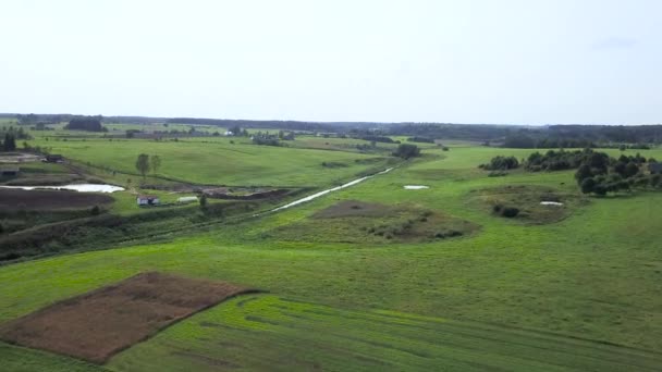 Endless Fields Meadows Forests Country — Stock Video