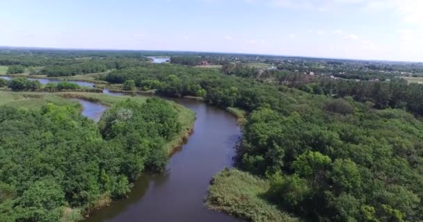 Літаючи Над Лісом Річкою Великою Кількістю — стокове відео