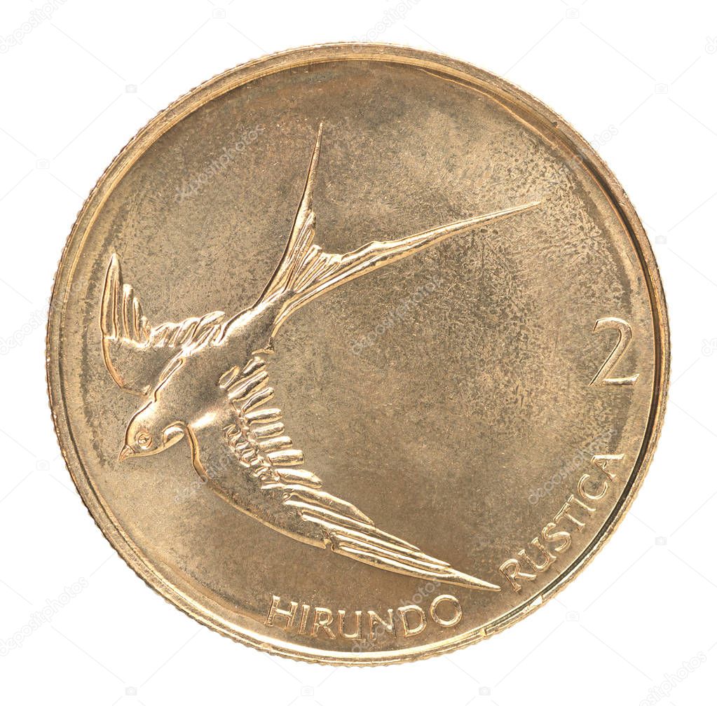 Isolated Tolar Coin - Slovenia