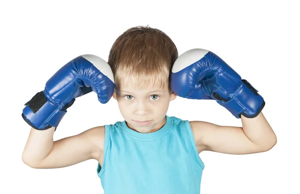 Pequeño boxeador — Foto de Stock