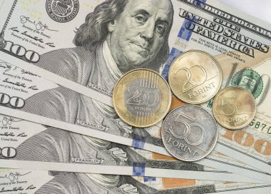 Dolar banknotlarının üstüne Macar sikkesi