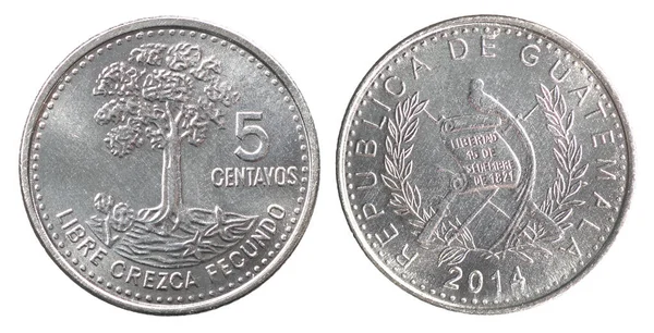 New Guatemalan Coin — Stock Photo, Image