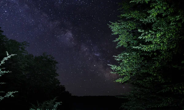 Silueta Del Árbol Sobre Fondo Vía Láctea — Foto de Stock