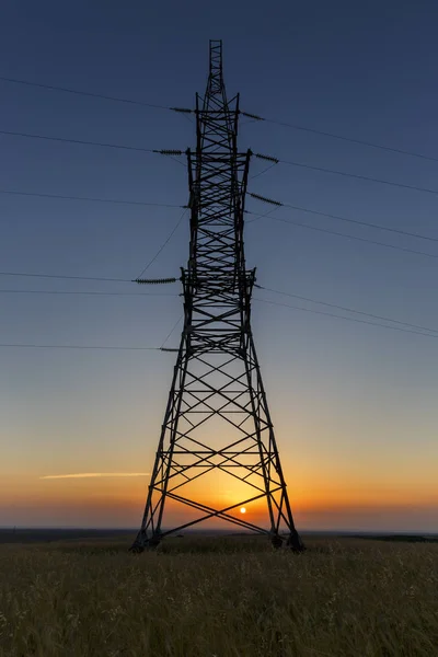 Torre Electricidad Campo Trigo Amanecer — Foto de Stock