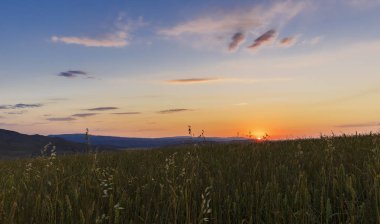 Altın gündoğumu alanları