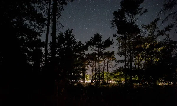 Hvězdné Nebe Nad Lesní Silniční — Stock fotografie