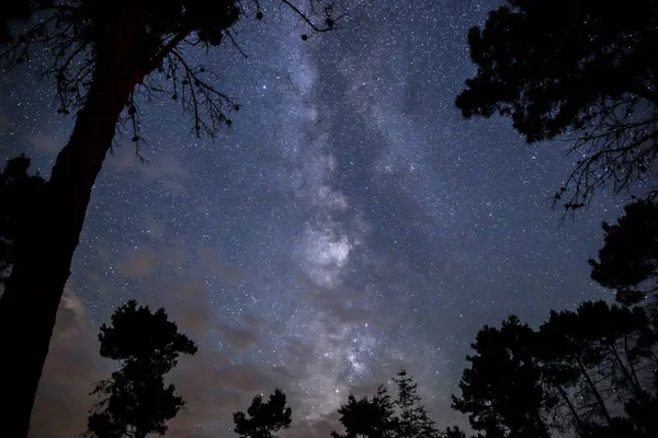 Vía Láctea en el cielo nocturno sobre el bosque —  Fotos de Stock