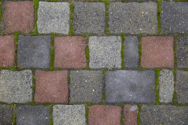 The texture of the masonry on the ground covered with grass — Stock Photo, Image