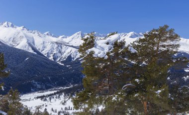 Karla kaplı dağlar ve Kuzey Kafkasya iğne yapraklı ağaçlar