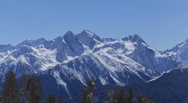 Gunung bersalju dan pohon konifer di Kaukasus Utara — Stok Foto
