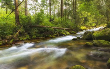 Tatras'taki birçok dağ nehirlerinden biri