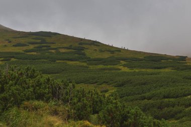 Tatras dağların sırtları boyunca yürüyen turistler