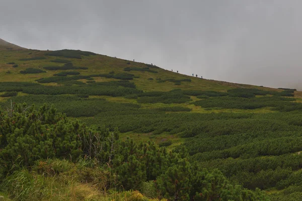 Tatras dağların sırtları boyunca yürüyen turistler