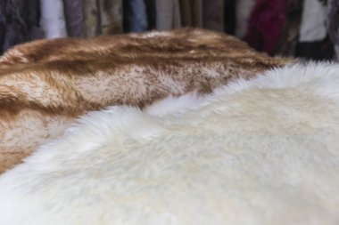 Hayvan derileri şehirde pazarlanan