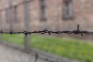 Gerilmiş Eski Paslı Dikenli Tel