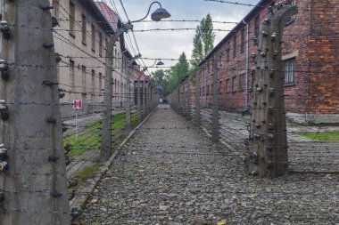 Auschwitz, Polonya - Ağustos 2019:Courtyard at Auschwitz Concentra