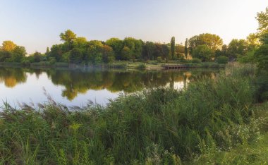 Güzel bir gölet kıyısında dinlenme insanlar.