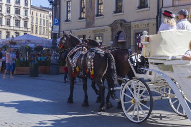 Varşova, Polonya - 20 Ağustos 2019: Bir at takımı