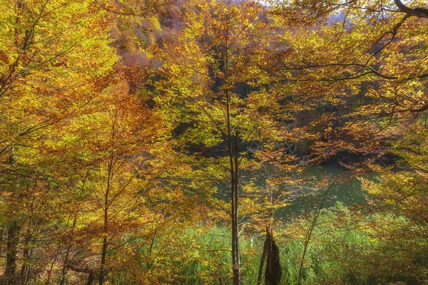 Hermoso lago en el otoño alto en las montañas — Foto de Stock