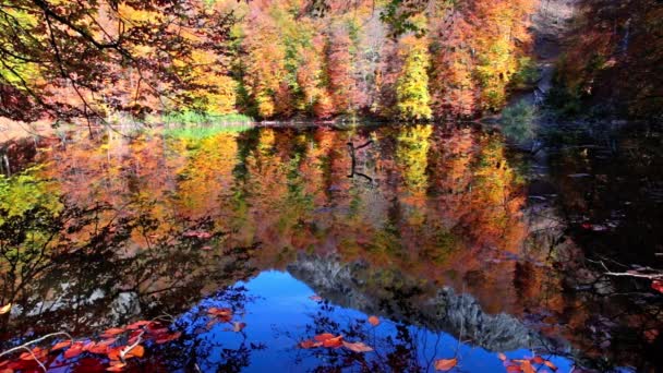 Hermoso lago en el otoño alto en las montañas — Vídeos de Stock