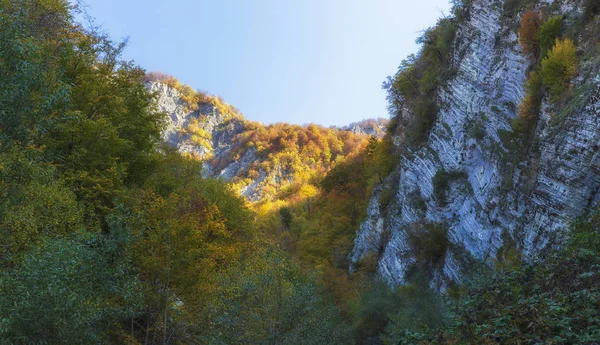 Otoño dorado en las montañas — Foto de Stock