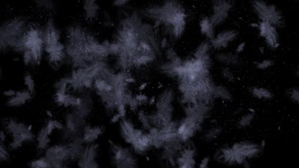 4K animated background simulating freezing glass — Stock Video