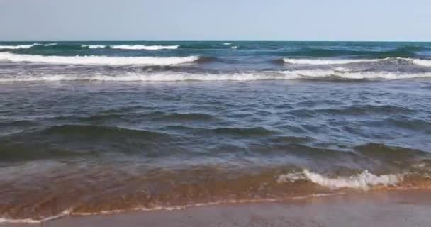 夏の海岸での海のサーフィン — ストック動画