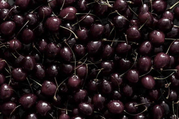 Cereza Dulce Cubierta Con Gotas Agua Una Bandeja —  Fotos de Stock