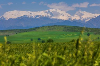 Mayıs 'ta karla kaplı dağların güzelliği