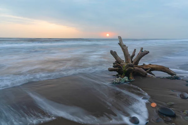Drewno Dryfujące Leżące Nad Brzegiem Morza Burzliwą Pogodę — Zdjęcie stockowe