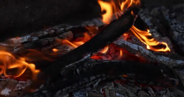 在烤炉中焚烧木板的煤 — 图库视频影像