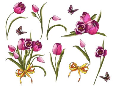 Beyaz arka planda, kelebek kompozisyonu ve ayrı ayrı Lale çiçekleri var.