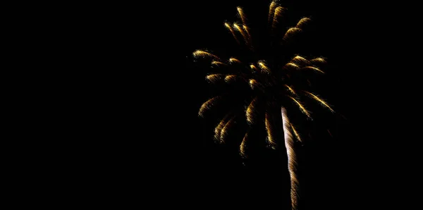 7月4日美国独立日 在夜空中放焰火 用火花和火花庆祝欢乐和自由 — 图库照片