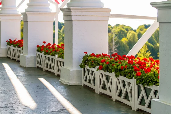 White Flower Box with Red Geranium Flowers on long porch of Grand Hotel, Michigan.