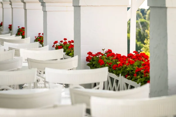 Geranium Flores Balcón Restaurante Con Sillas Blancas Mesas — Foto de Stock