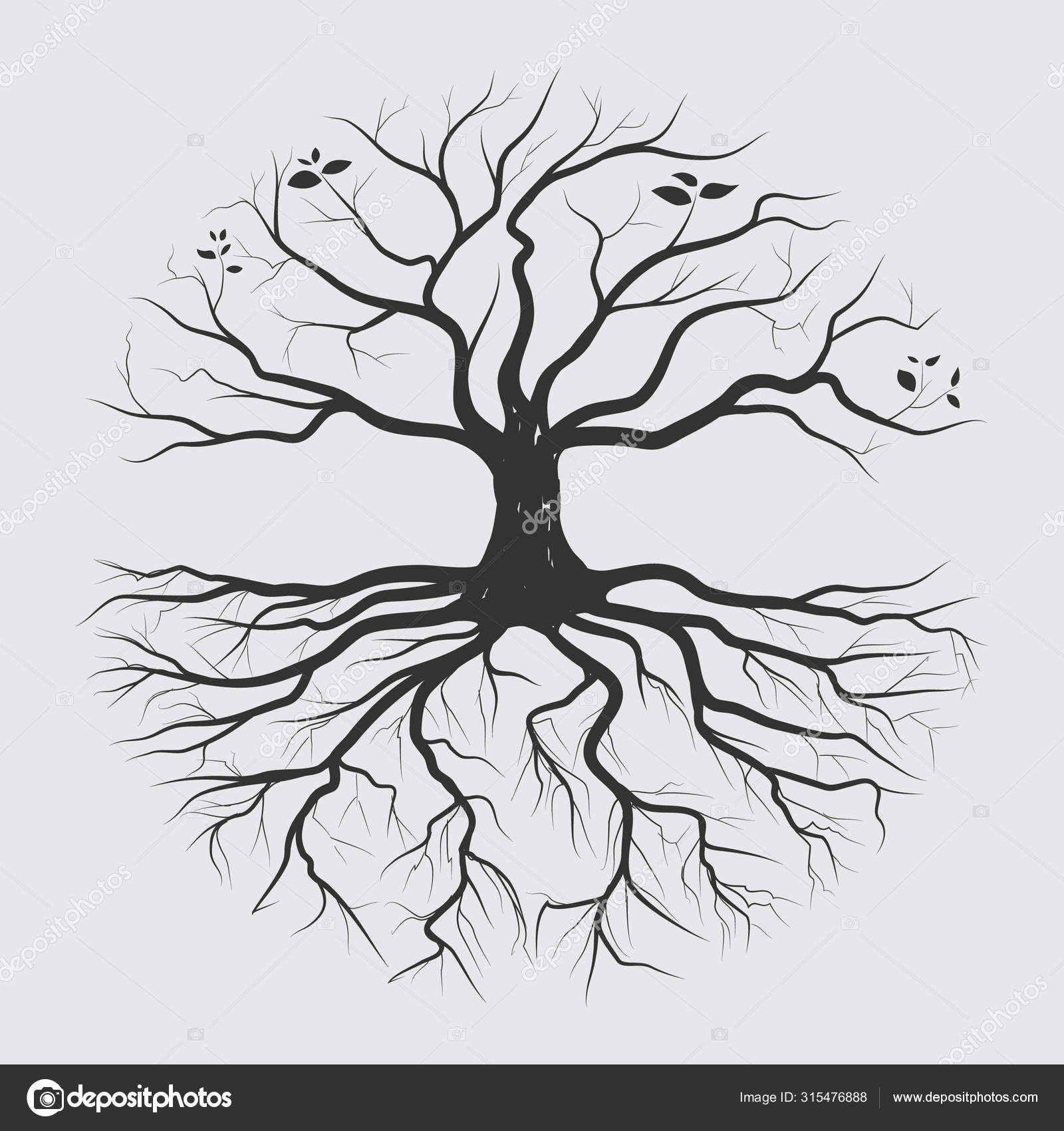 木の根の鉛筆のスケッチデザイン ストックベクター ©BoseArt 315476888, image size:1600x1700