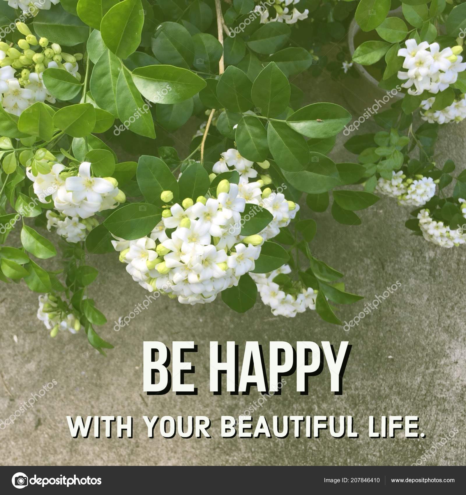 Inspirational Motivational Quote Happy Your Beautiful Life