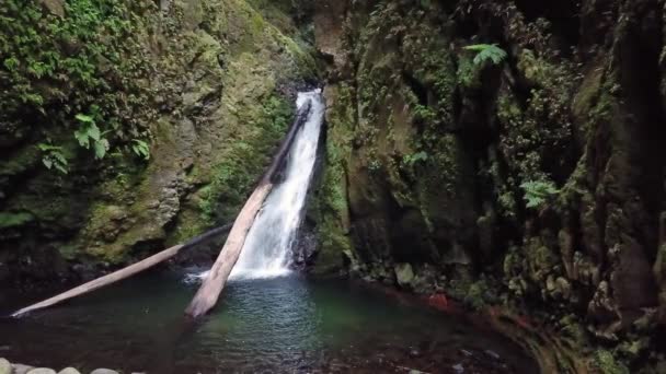 Salto Cagarrao Waterfall Located Prego River Sao Miguel Island Azores — Stock Video