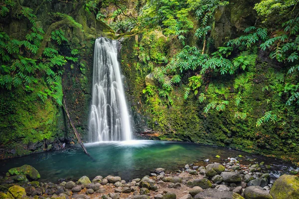 Salto Prego Cascada Perdida Selva Tropical Isla Sao Miguel Azores — Foto de Stock